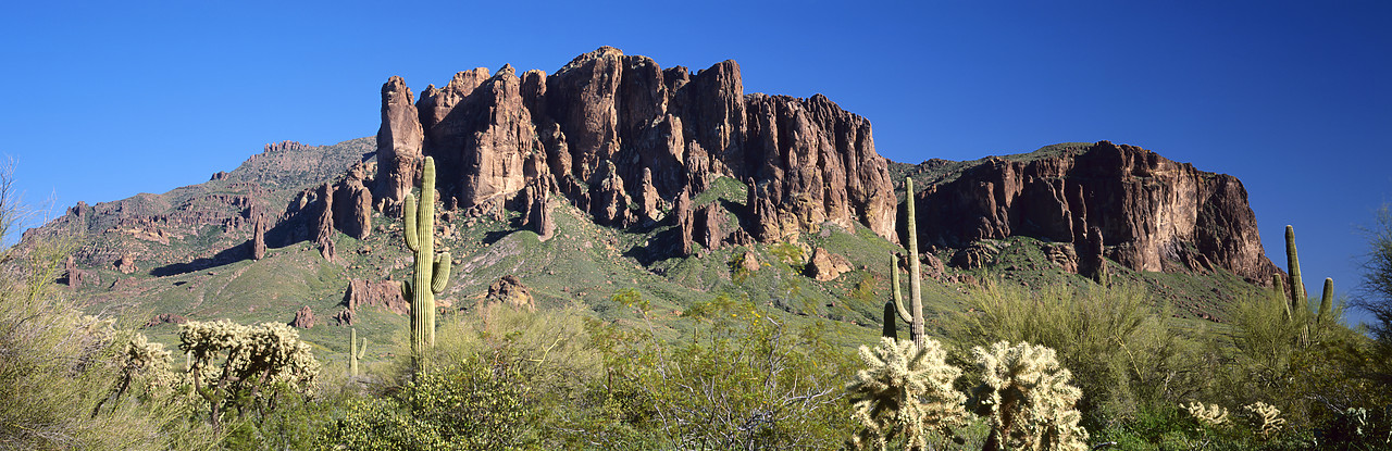 #980535-2 - Superstition Mountains, Phoenix, Arizona, USA