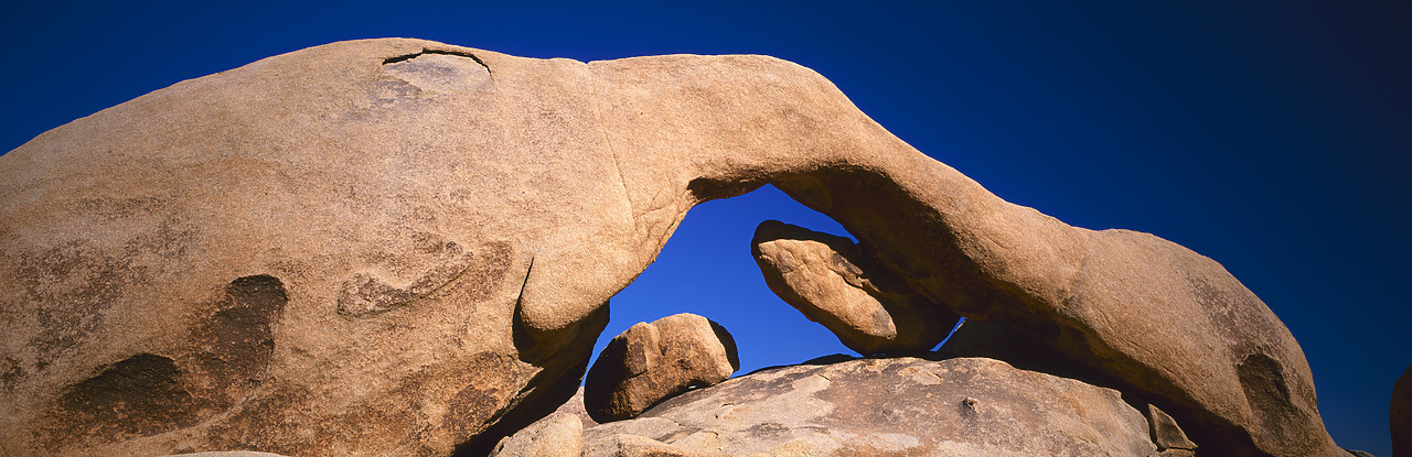 #980547-2 - Arch Rock, Joshua Tree National Park, California, USA