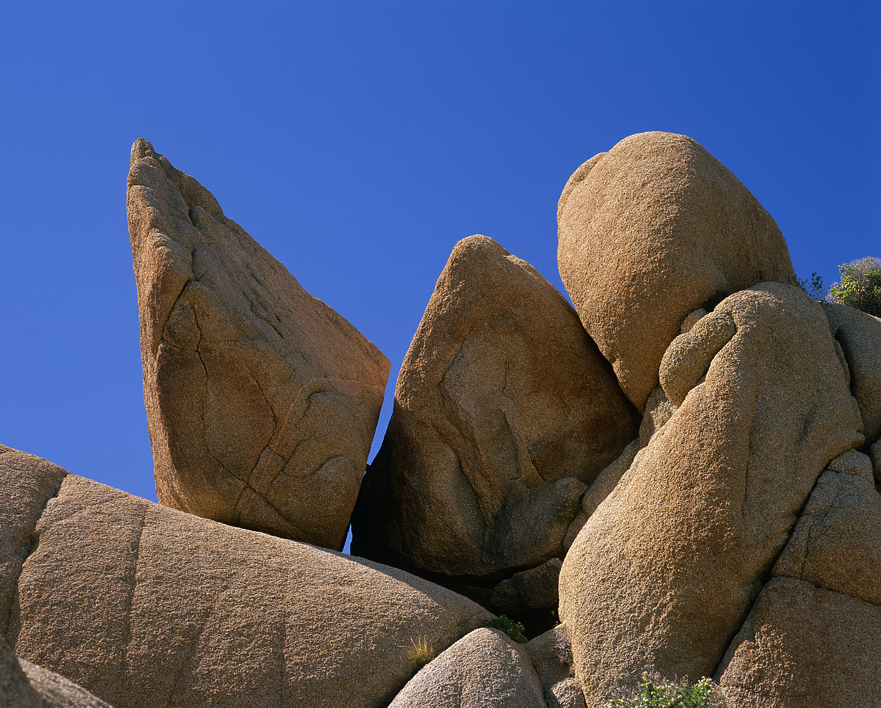 #980552-1 - Jumbo Rocks, Joshua Tree National Park, California, USA