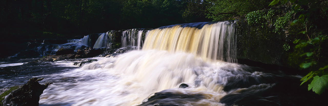 #980646-3 - Aysgarth Falls, Wensleydale, North Yorkshire, England