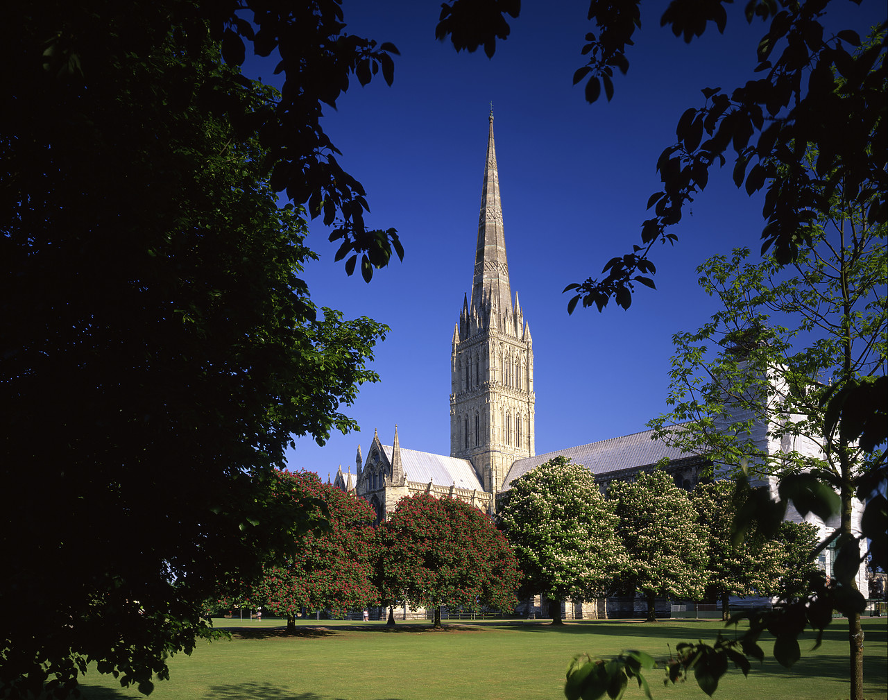 #980707-1 - Salisbury Cathedral, Wiltshire, England