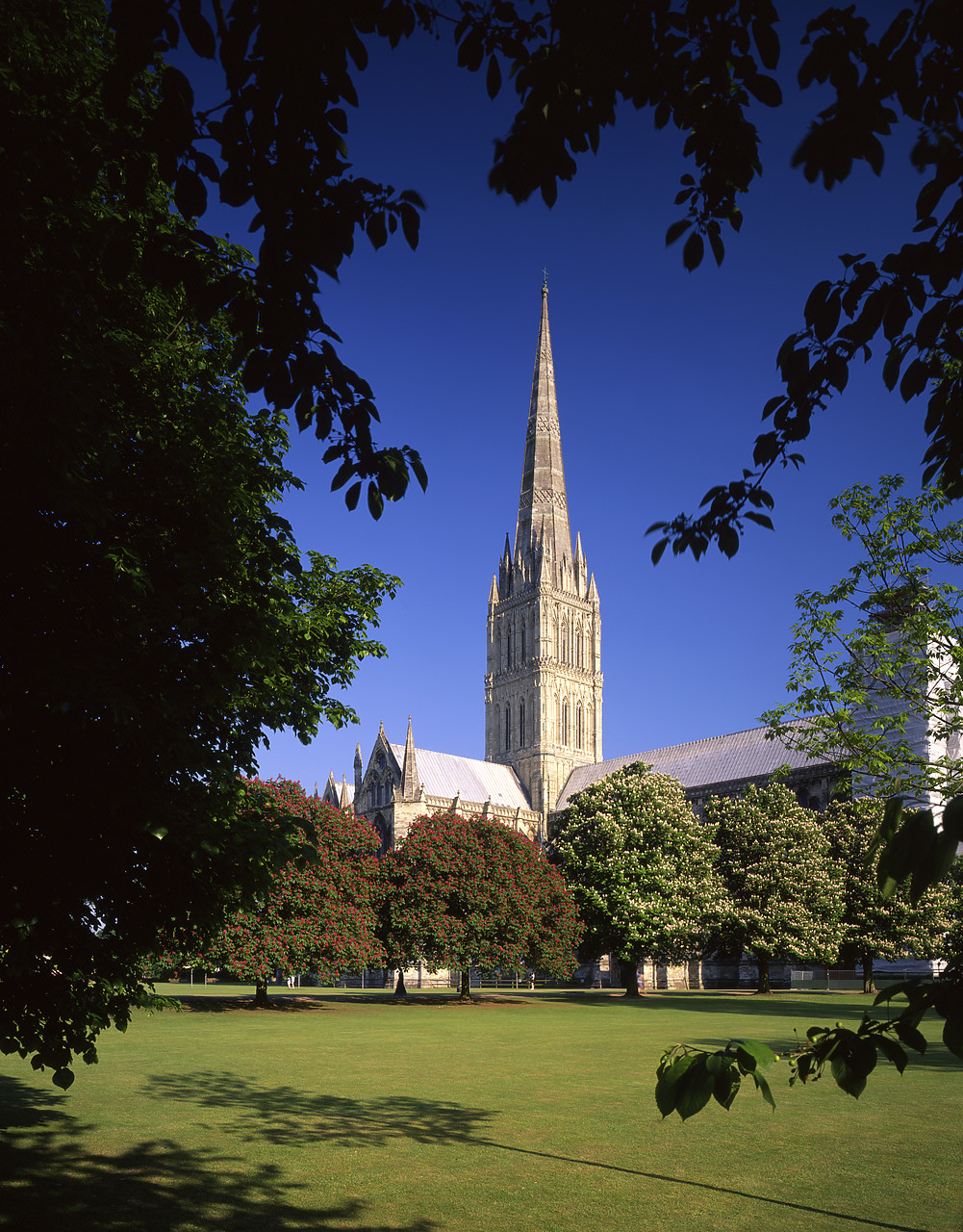 #980707-3 - Salisbury Cathedral, Wiltshire, England