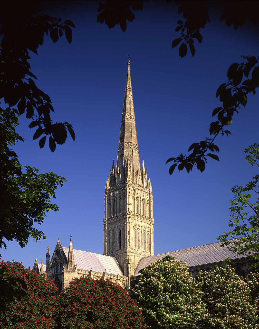 #980707-6 - Salisbury Cathedral, Wiltshire, England