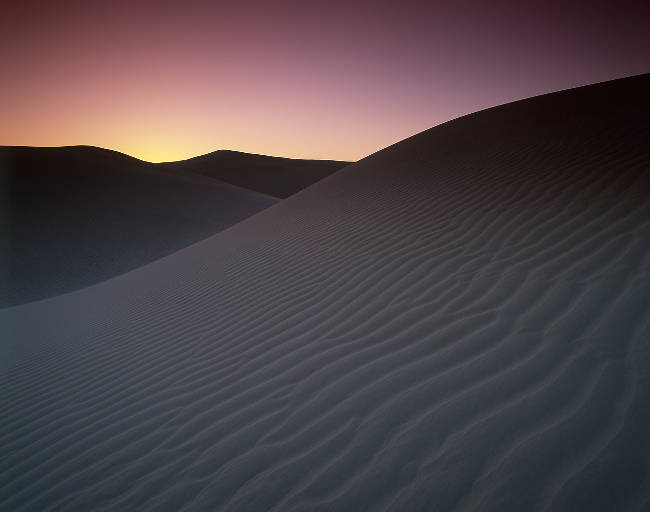 #980731-2 - Sand Dunes at Dawn, Algodones Dunes Wilderness Area, California, USA