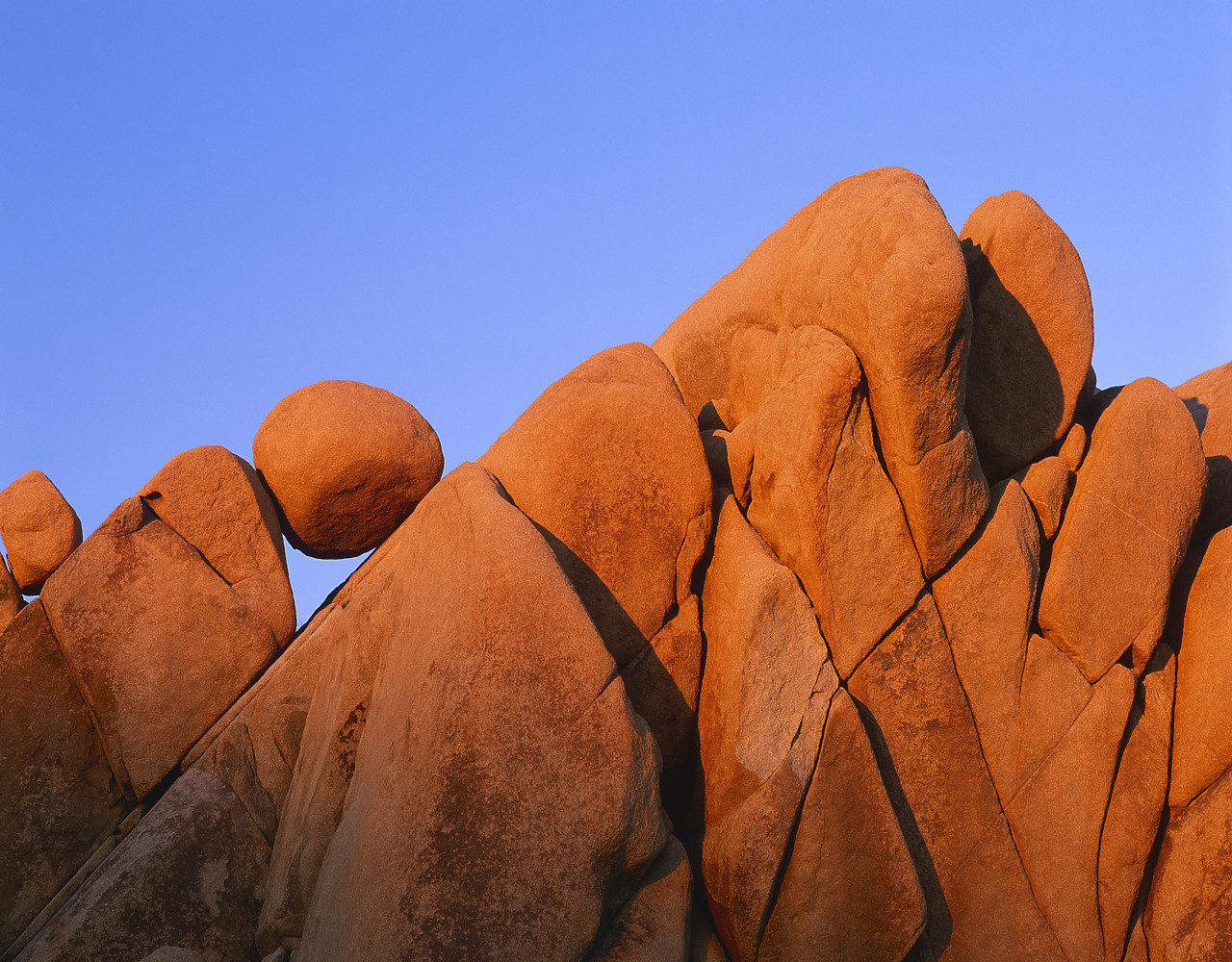 #980759-3 - Jumbo Rocks, Joshua Tree National Park, California, USA