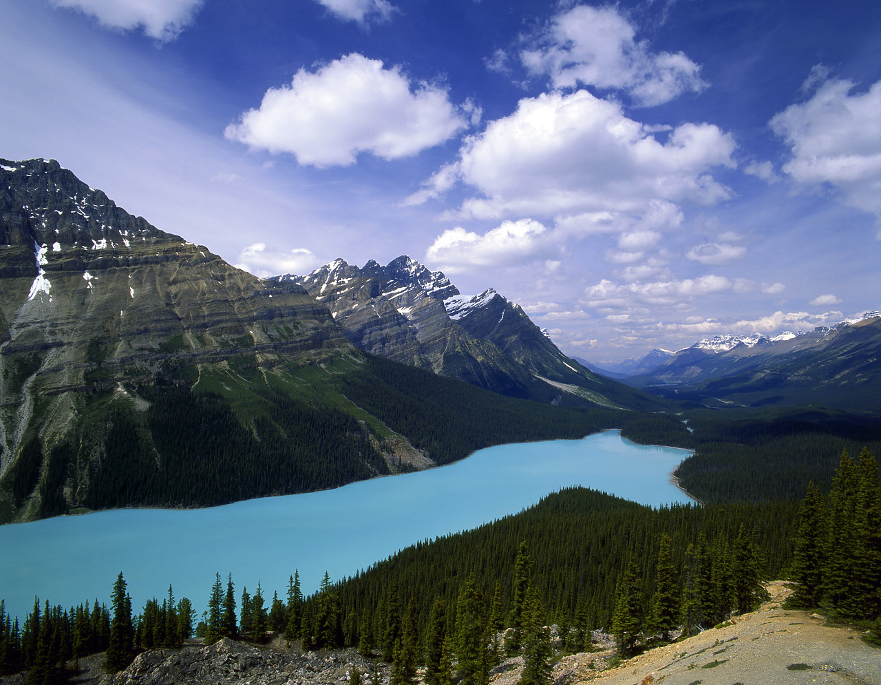 #980851-3 - Peyto Lake, Banff National Park, Alberta, Canada