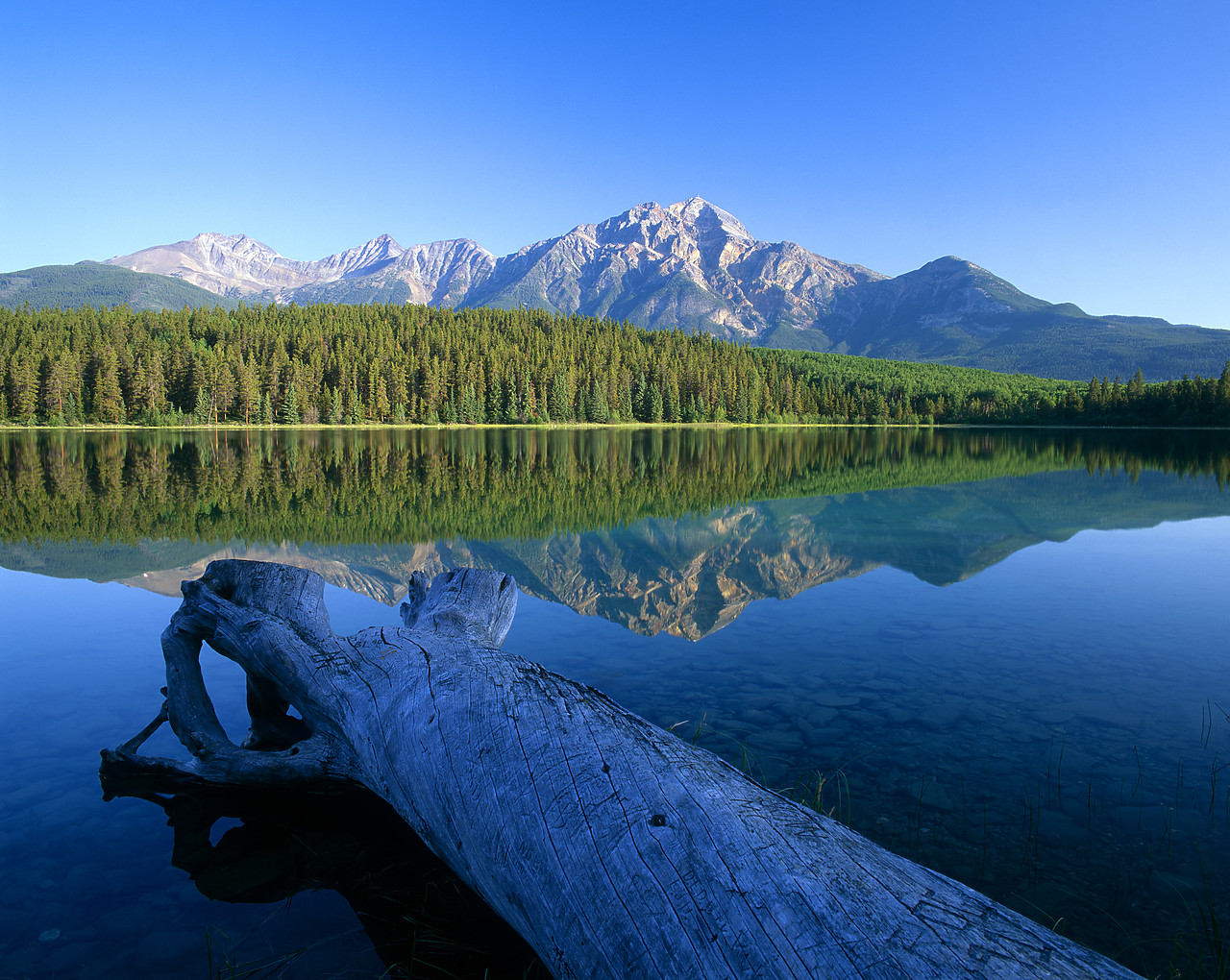 #980858-3 - Pyramid Mountain Reflecting in Patricia Lake, Jasper National Park, Alberta, Canada