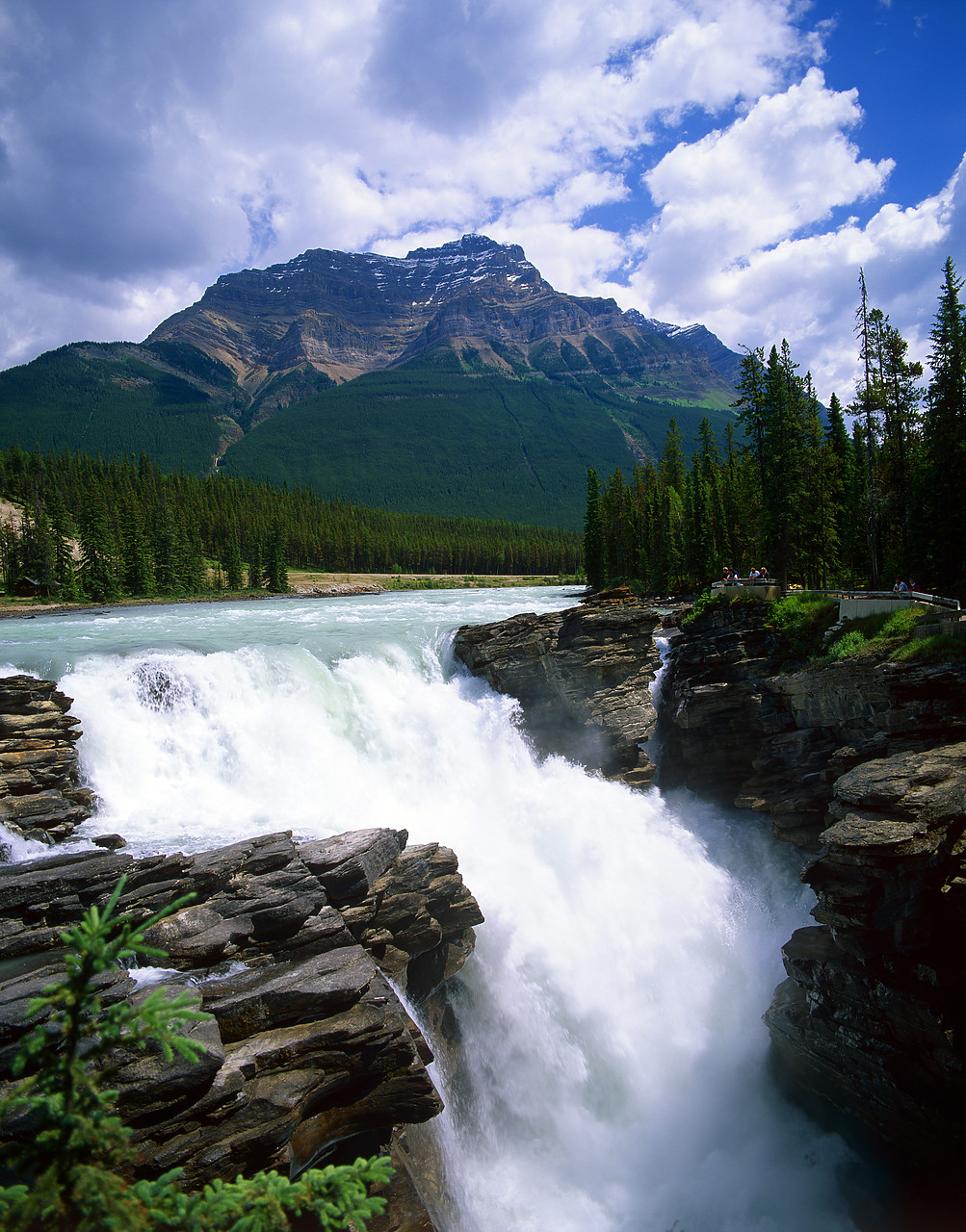 #980876-1 - Athabasca Falls, Banff National Park, Alberta, Canada