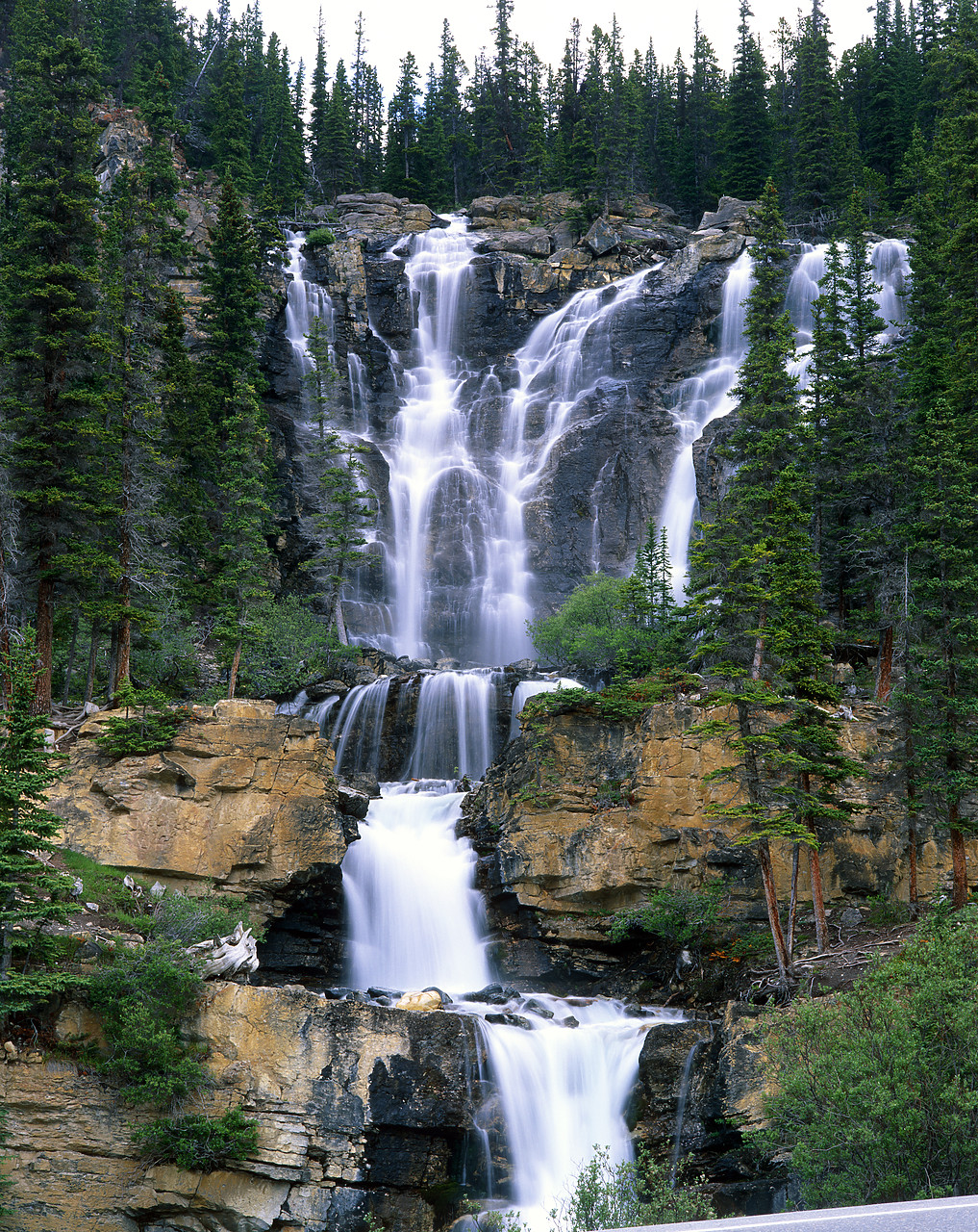 #980881-1 - Tangle Creek Falls, Jasper National Park, Alberta, Canada