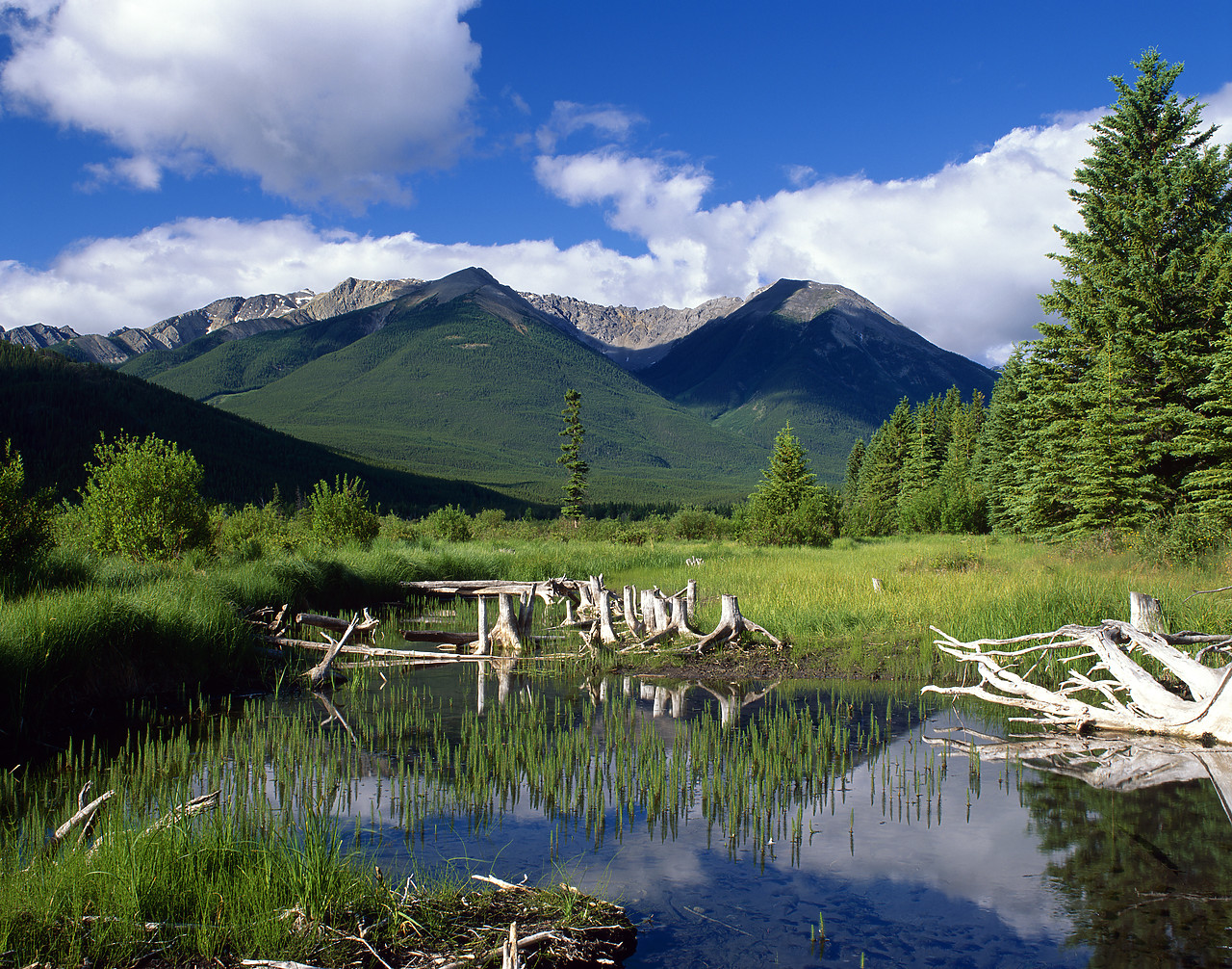 #980914-1 - Canadian Rockies, Banff National Park, Alberta, Canada