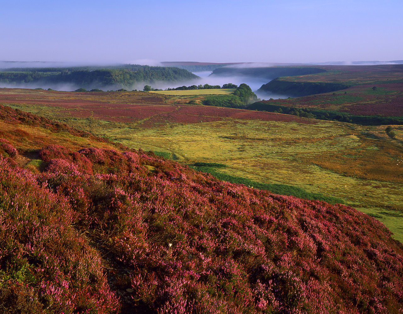 #980971-2 - Mist Over Moors, North Yorkshire, England
