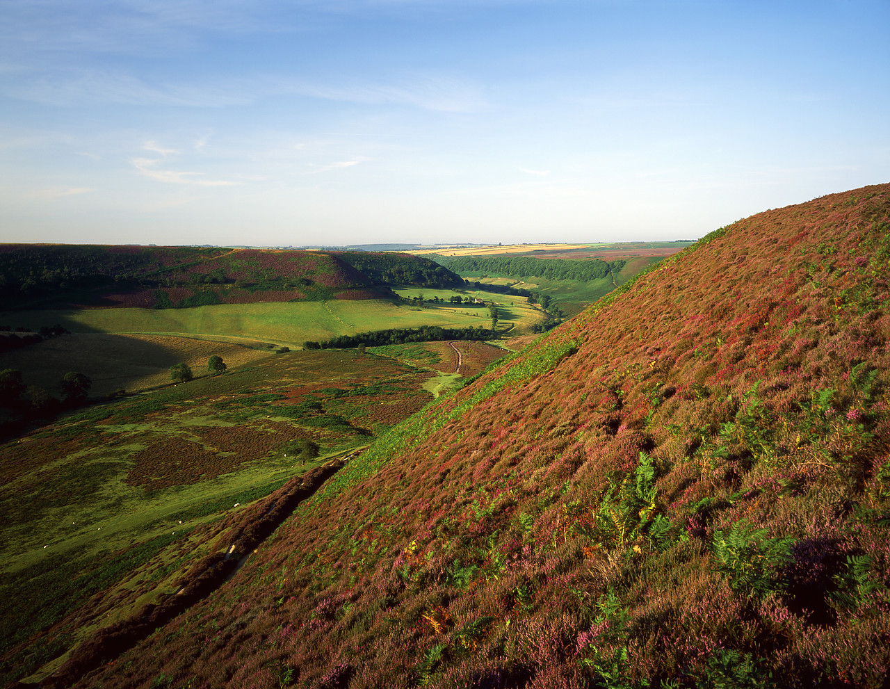 #980973-3 - Hole of Horcum, North Yorkshire Moors, England