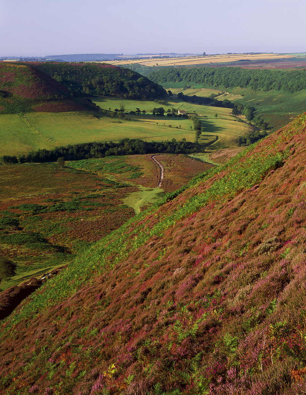 #980973-5 - Hole Of Horcum, North Yorkshire Moors, North Yorkshire, England
