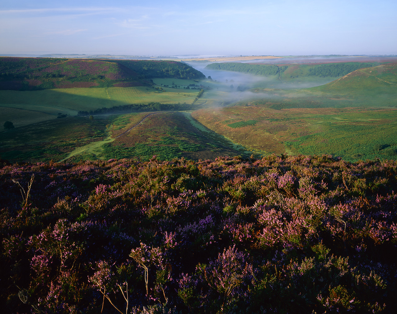 #980974-2 - Mist in Hole of Horcum, North York Moors, North Yorkshire, England