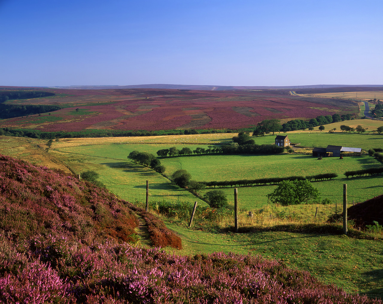 #980980-1 - Cottage on the Moors, North Yorkshire, England