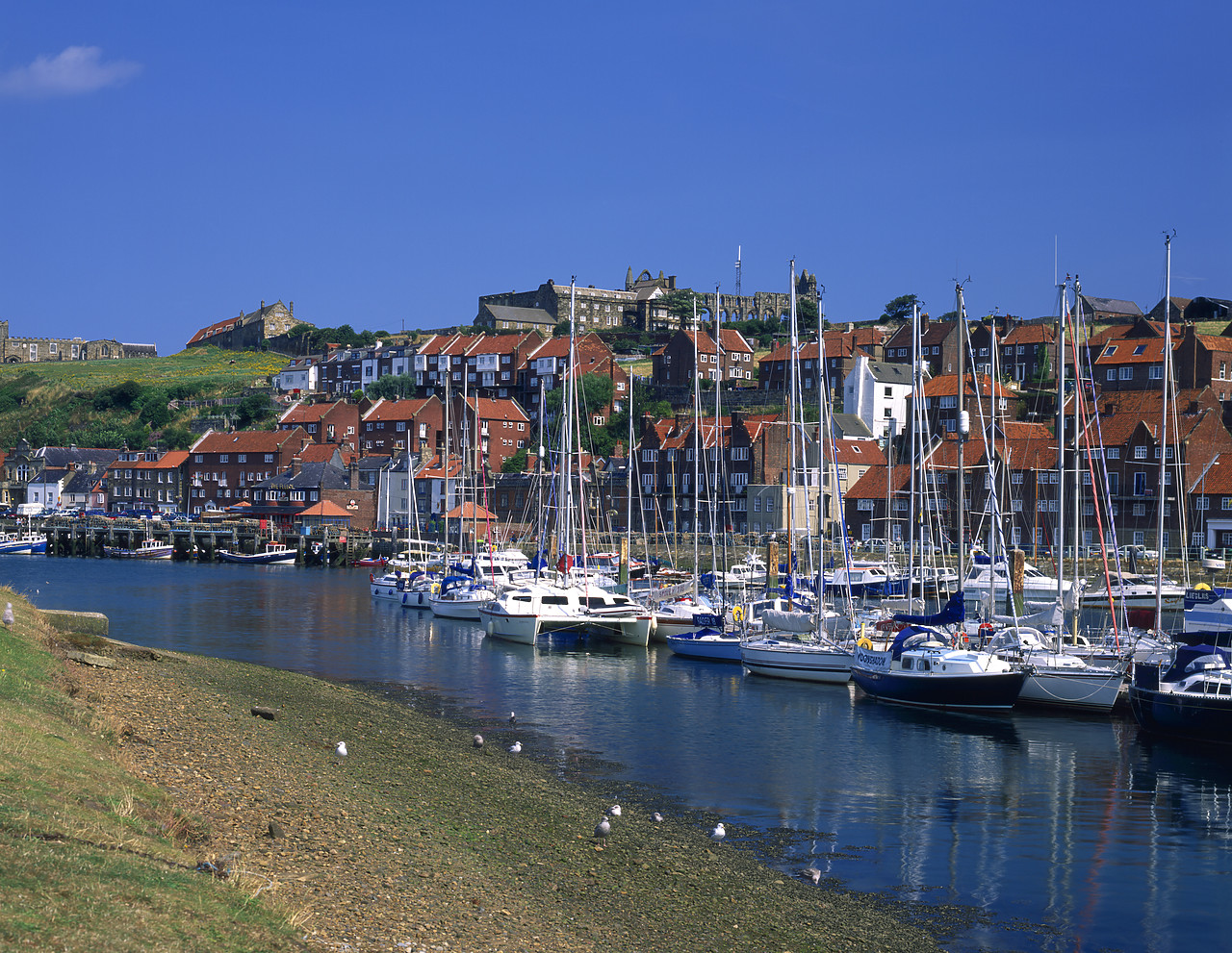 #980986-1 - Whitby Harbour, North Yorkshire, England