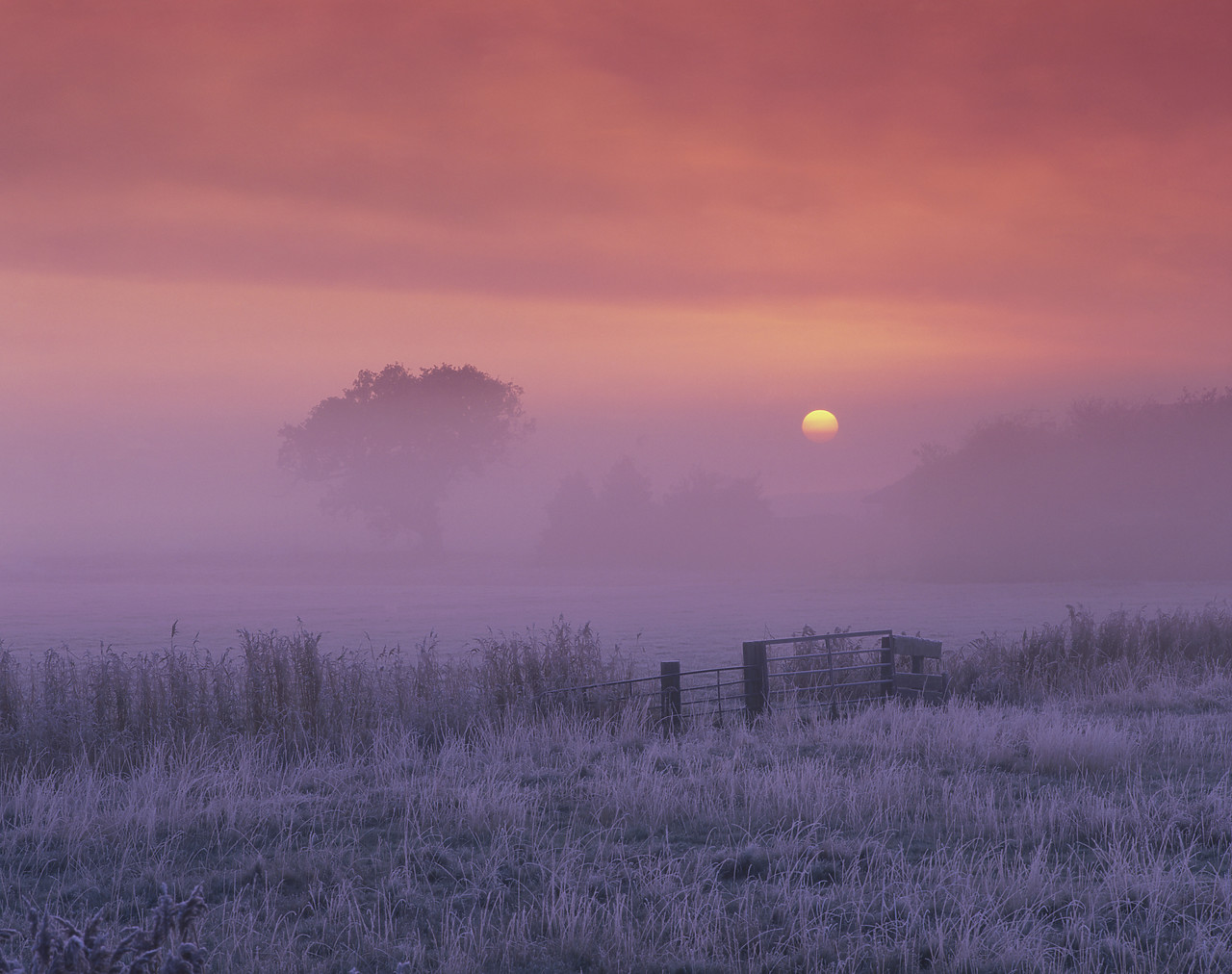 #981034-1 - Sunrise over Frosty Farmland, Thurne, Norfolk, England