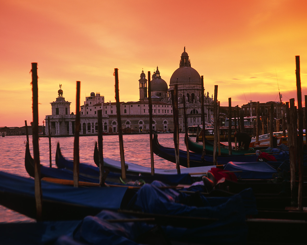 #990082-1 - Sunset over Salute & Gondolas, Venice, Italy