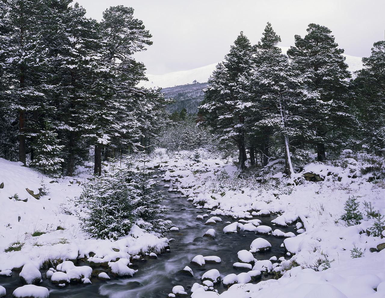 #990133-1 - Stream in Winter near Aviemore, Highland Region, Scotland