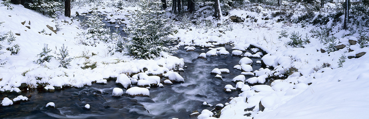 #990133-6 - Stream in Winter, near Aviemore, Highland Region, Scotland