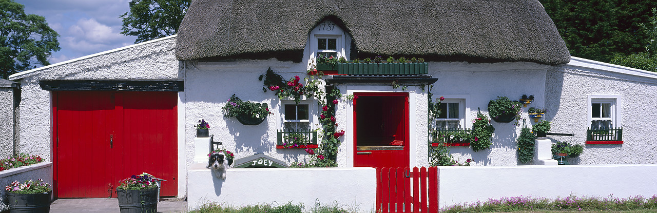 #990180-5 - Thatched Cottage, Mooncoin, County Kilkenny, Ireland