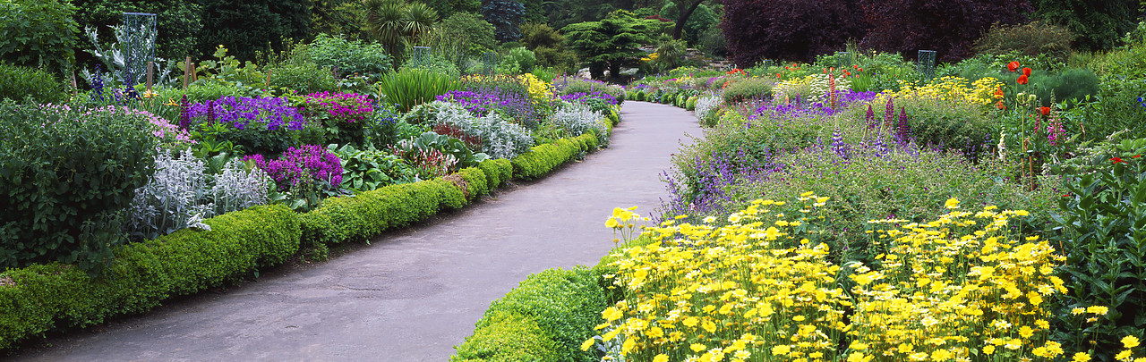 #990183-1 - Path through Garden, National Botanical Garden, Dublin, Ireland