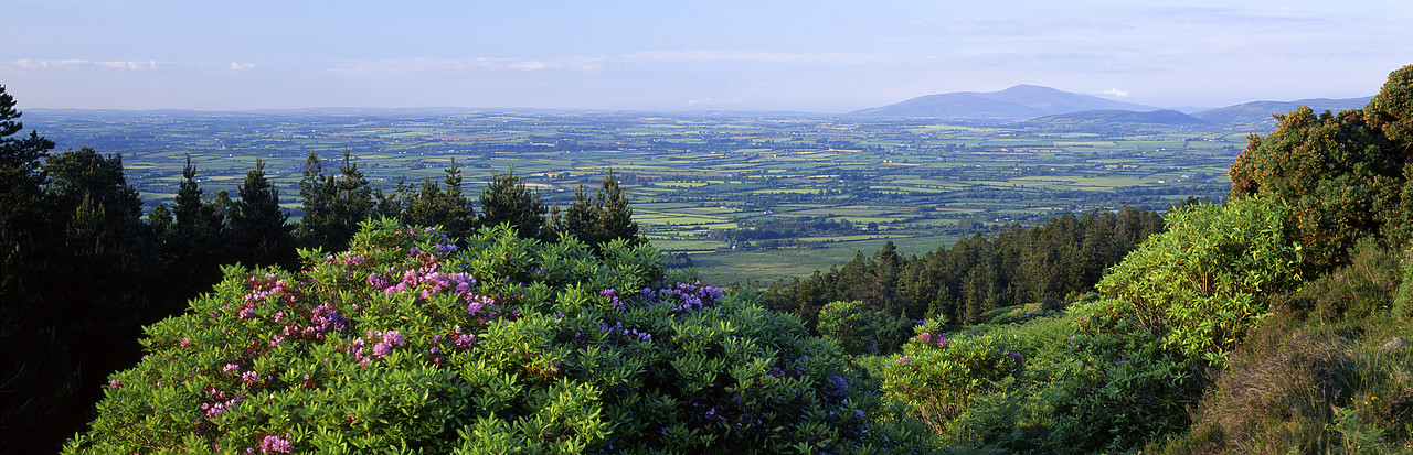 #990201-1 - View Knockmealdown Mountains, Co. Tipperary, Ireland