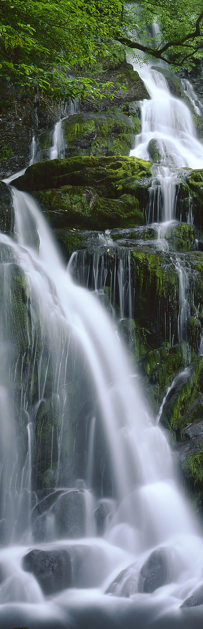 #990209-4 - Torc Waterfall, near Killarney, Co. Kerry, Ireland