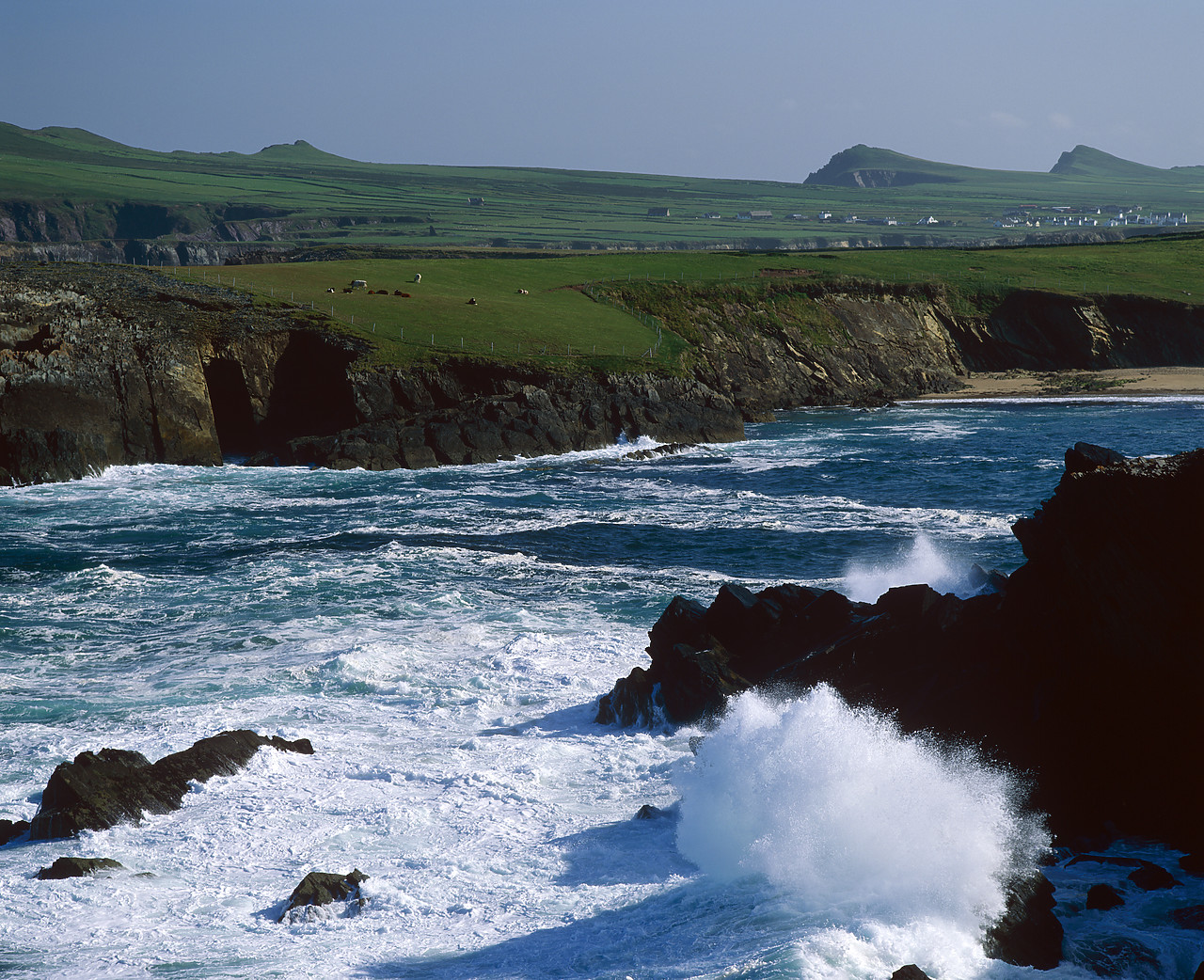 #990215-1 - Crashing Waves, Sybil Head, Dingle Peninsula, Ireland