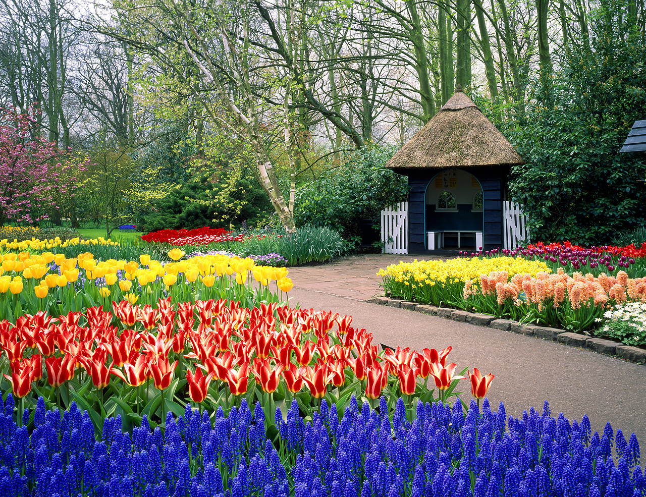 #990355-1 - Spring Garden & Summerhouse, Keukenhof Gardens, Lisse, Holland