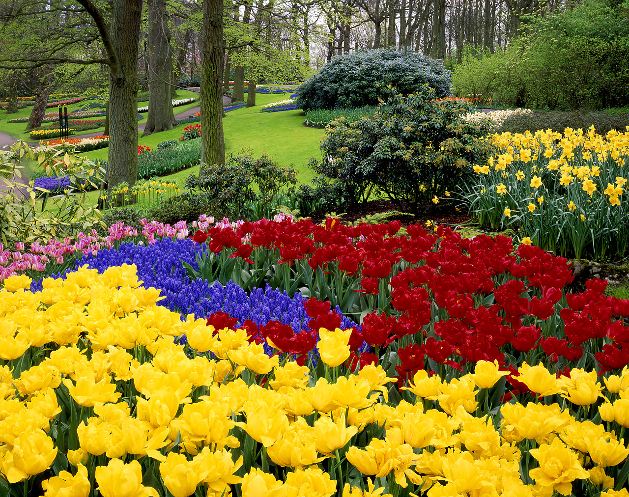 #990356-2 - Spring Garden, Keukenhof Gardens, Lisse, Holland