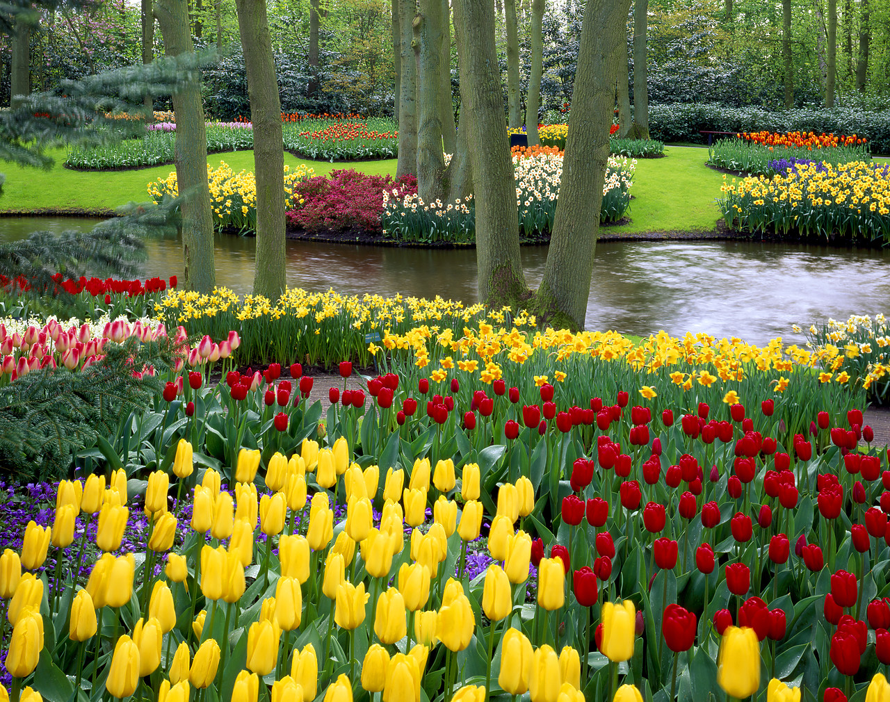 #990365-3 - Spring Garden, Keukenhof Gardens, Lisse, Holland