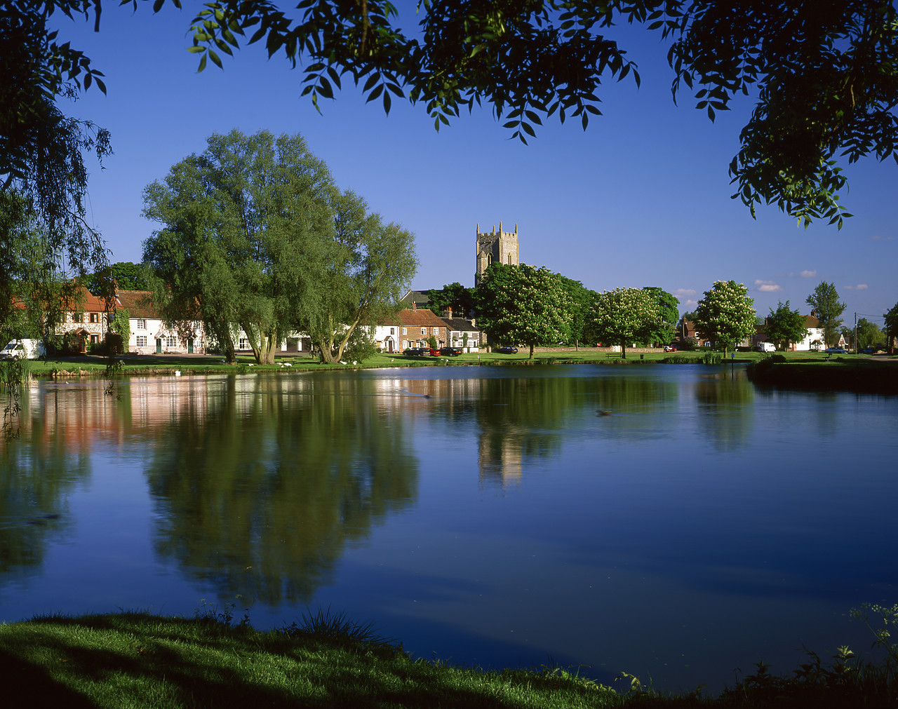 #990392-3 - Village Pond, Great Massingham, Norfolk, England