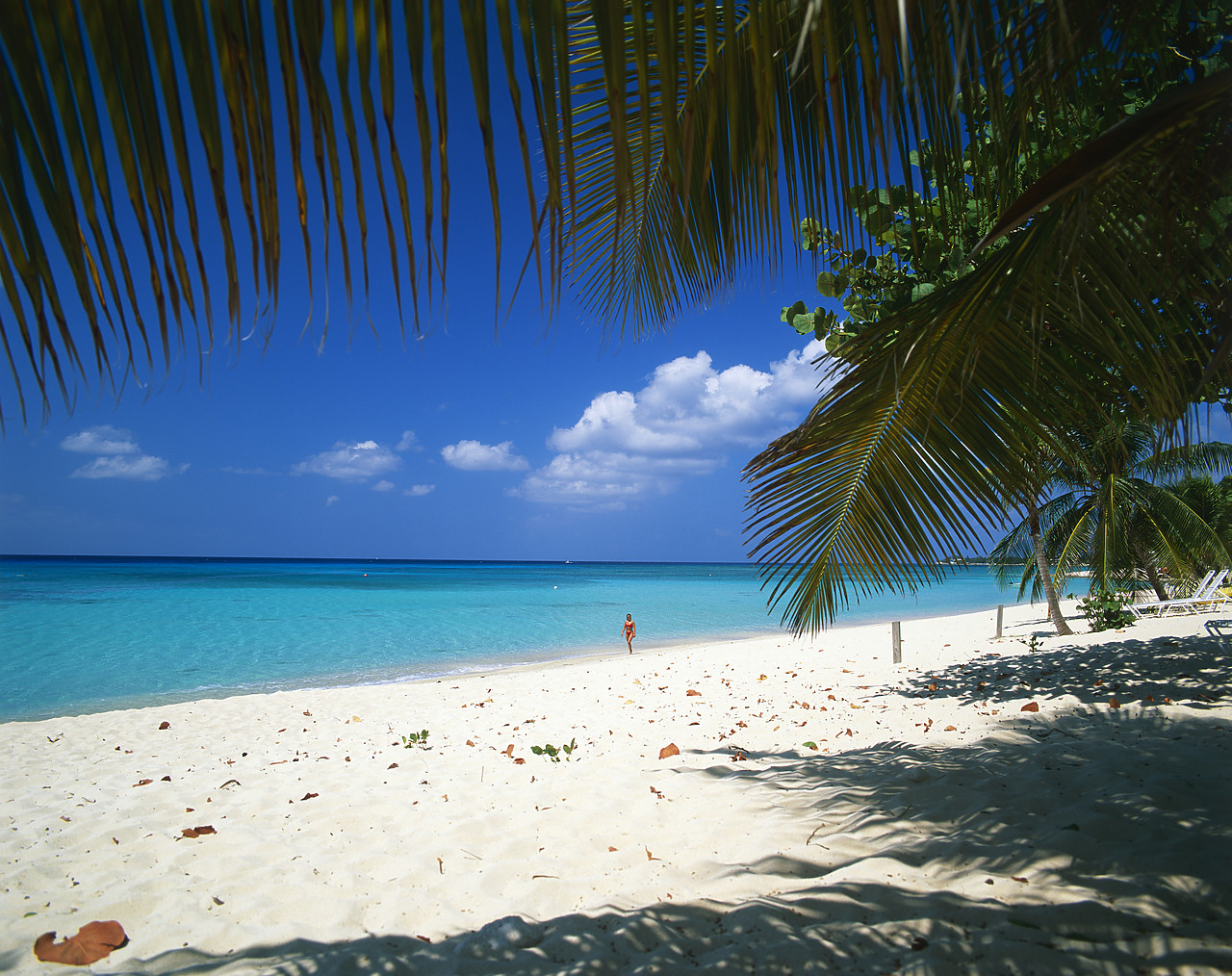 #990536-1 - Lone Person on Beach, Grand Cayman, Cayman Islands