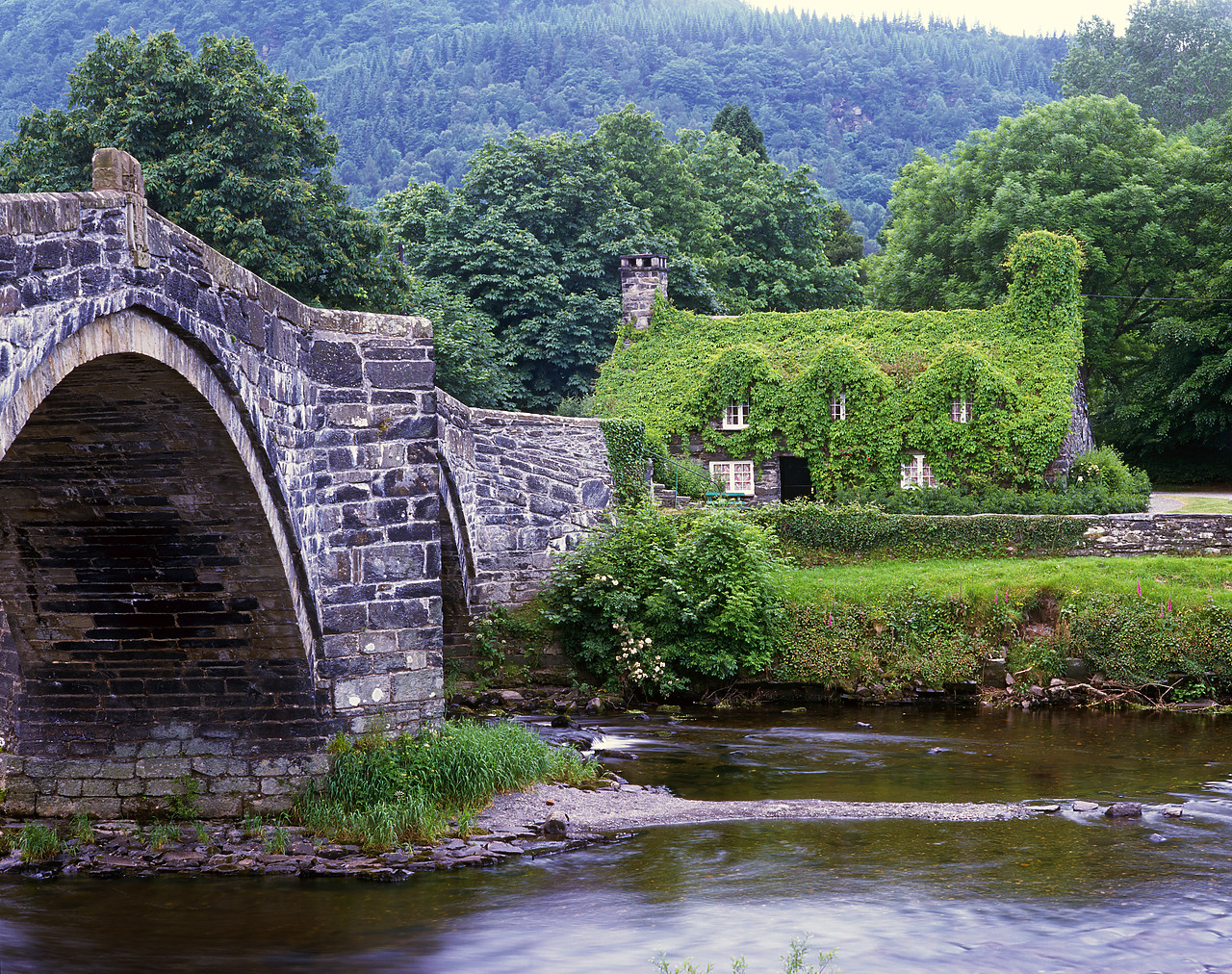 #990541-1 - Ivy-covered Cottage, Llanwst, Gwynedd, Wales