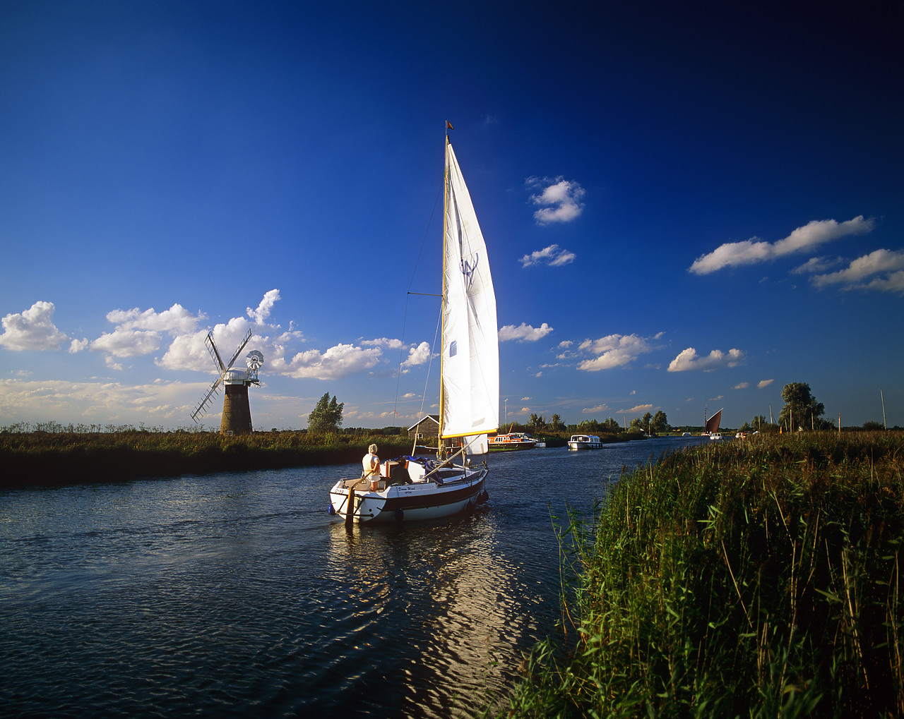 #990564-2 - Sailboat on River Thurne, Norfolk Broads National Park, Norfolk, England