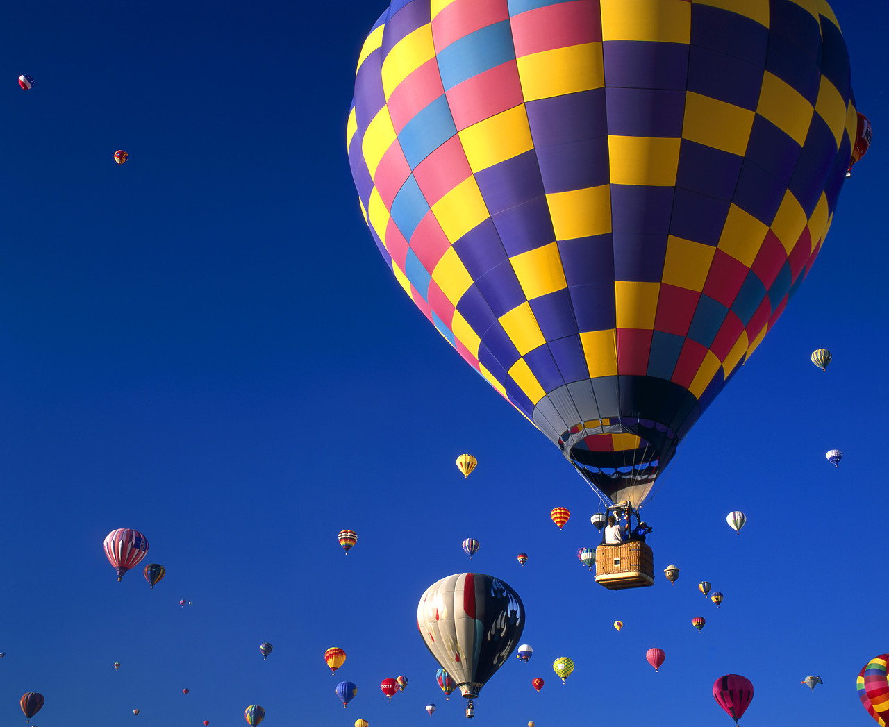 #990573-1 - Hot Air Balloons, Albuquerque, New Mexico, USA