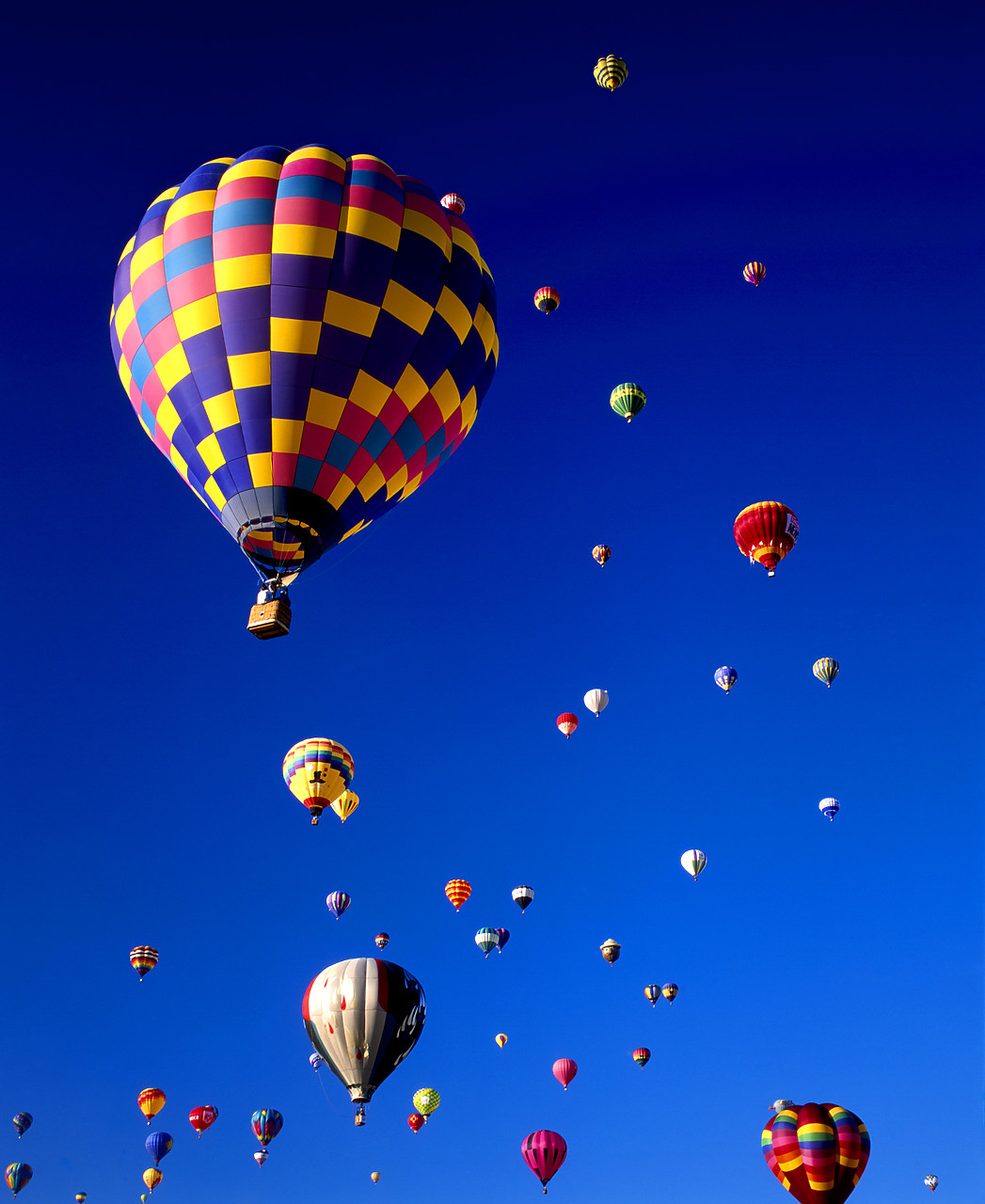 #990576-1 - Hot Air Balloons, Albuquerque, New Mexico, USA