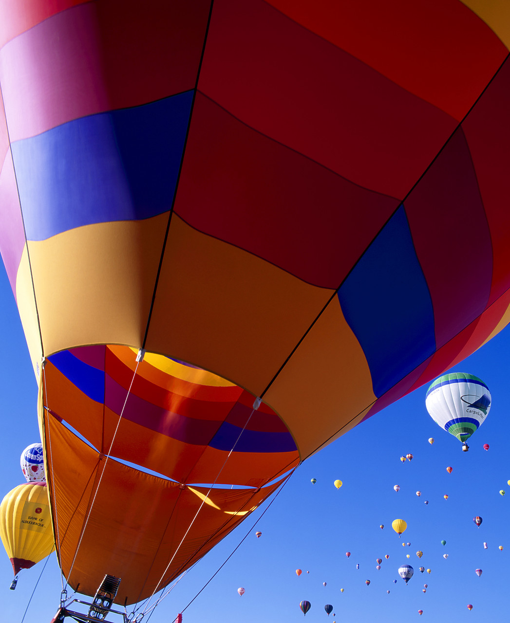 #990578-1 - Hot Air Balloons, Albuquerque, New Mexico, USA