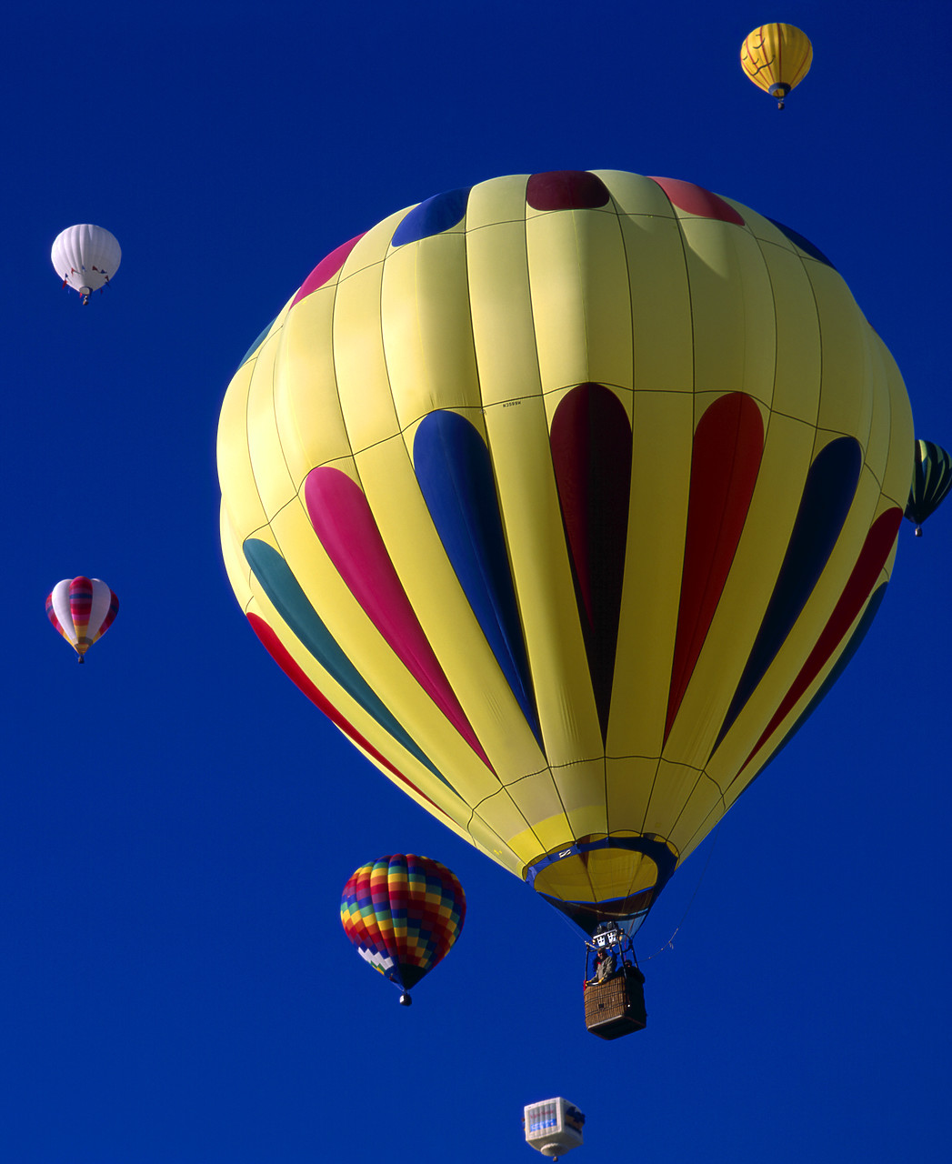 #990584-1 - Hot Air Balloons, Albuquerque, New Mexico, USA