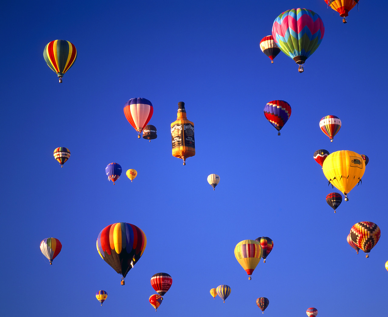 #990587-1 - Hot Air Balloons, Albuquerque, New Mexico, USA