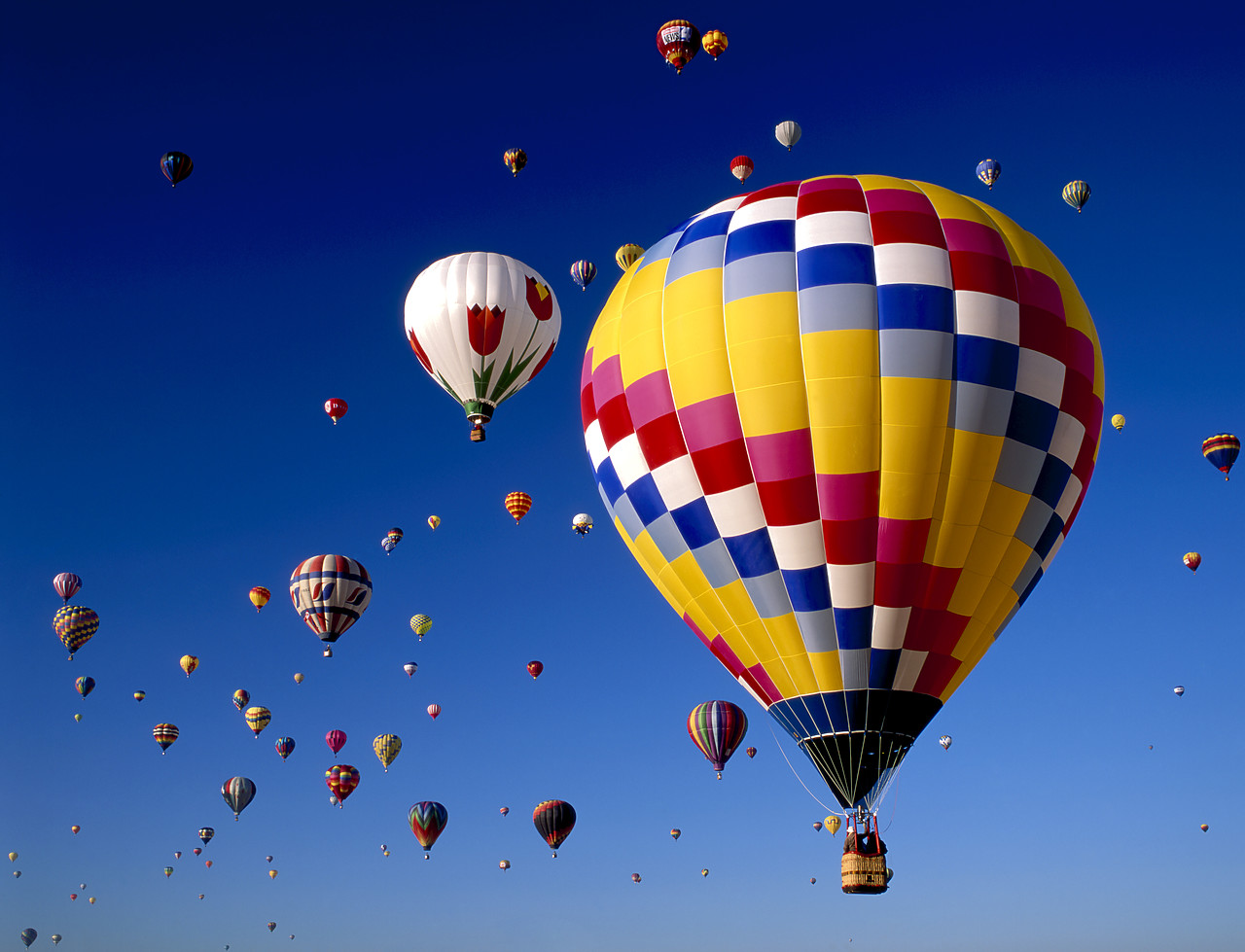 #990591-1 - Hot Air Balloons, Albuquerque, New Mexico, USA