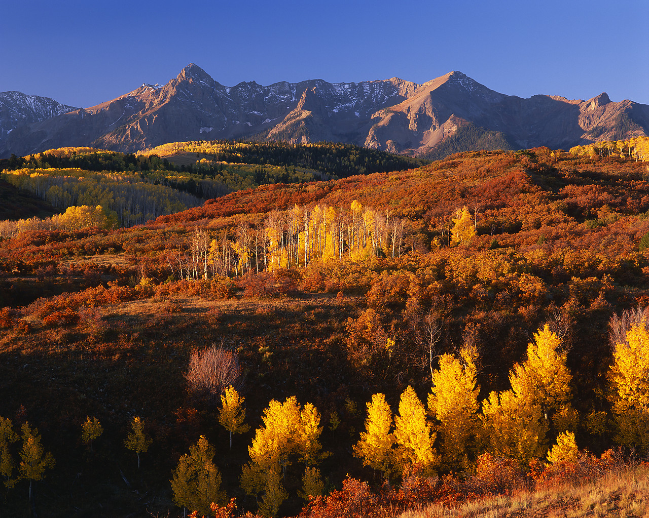 #990623-2 - Dallas Divide in Autumn, San Juan Mountains, Colorado, USA