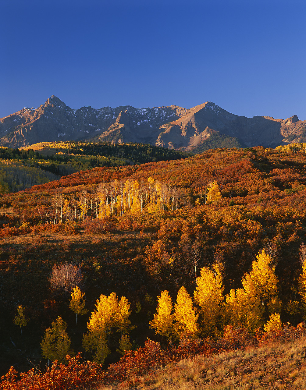 #990623-4 - Dallas Divide in Autumn, San Juan Mountains, Colorado, USA