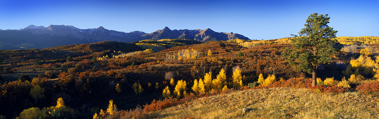 #990623-7 - San Juan Mountains, Dallas Divide, Colorado, USA