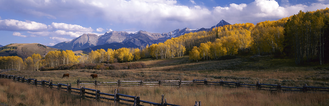 #990630-1 - San Jaun Mountains in Autumn, Colorado, USA