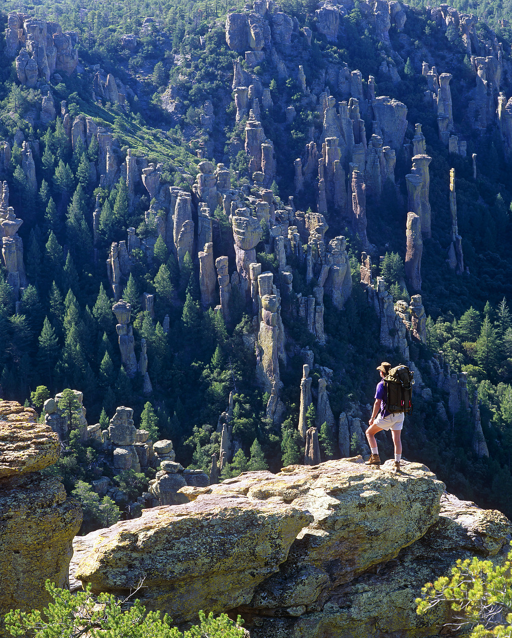 #990642-2 - Hiker Overlooking Chiricahua National Monument, Arizona, USA