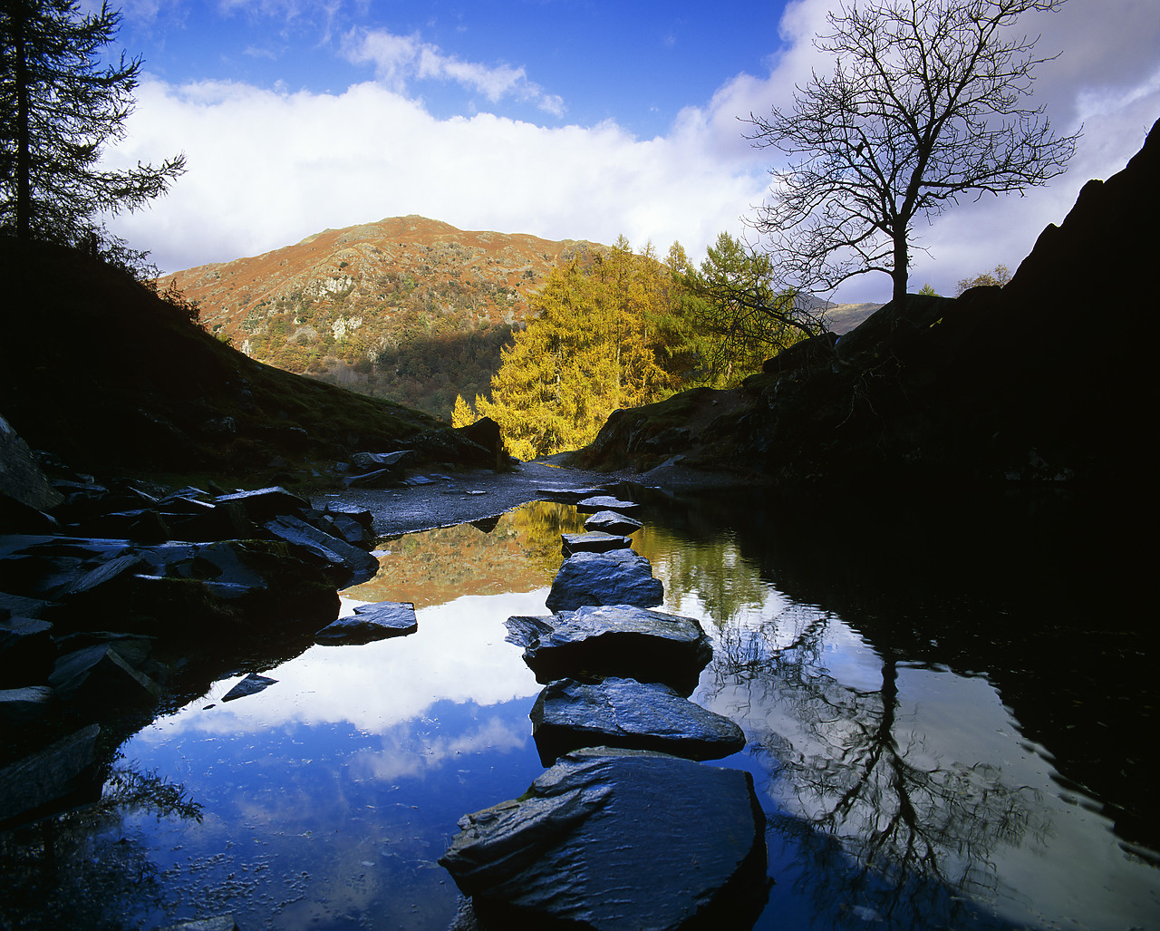 #990693-1 - View from inside Rydal Cave, Lake District, Cumbria, England