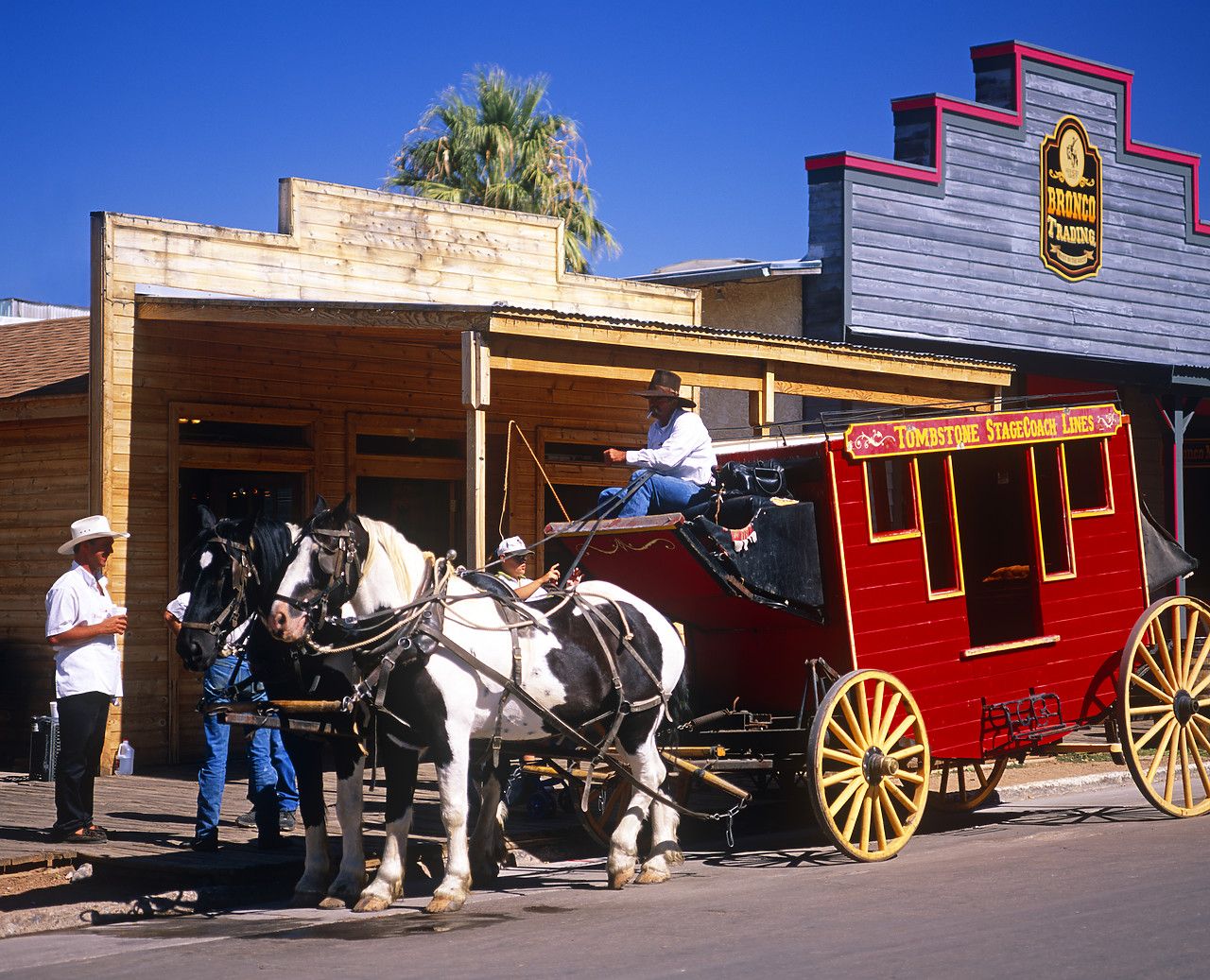 #990727-1 - Tombstone Stagecoach, Arizona, USA