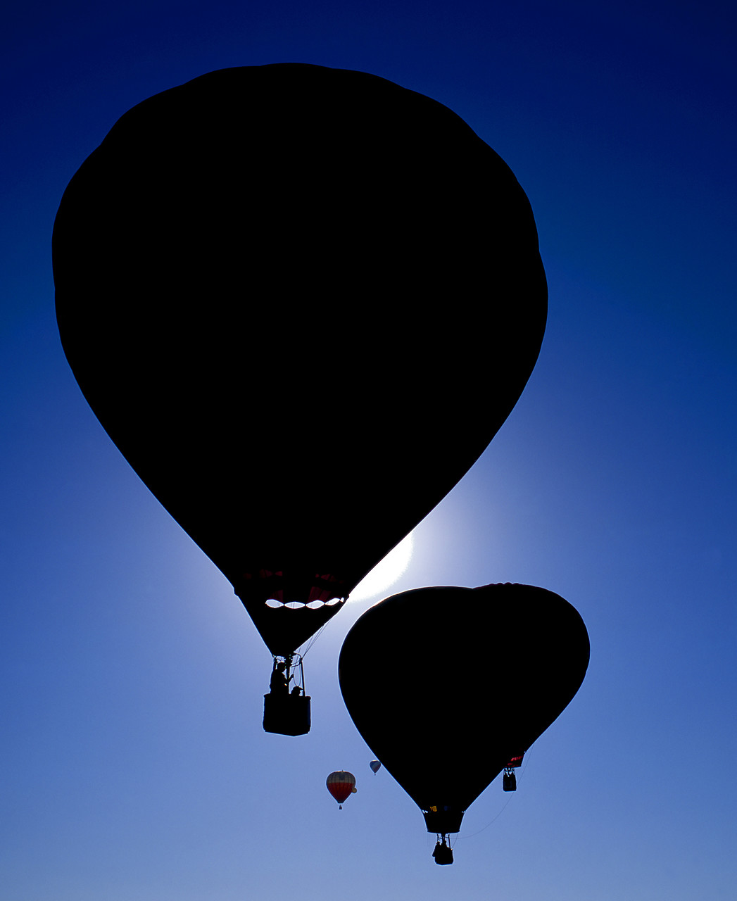 #990728-1 - Hot Air Balloon Silhouettes, Albuquerque, New Mexico, USA